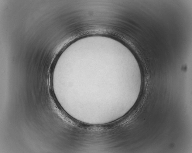X0000111951034200908241159
