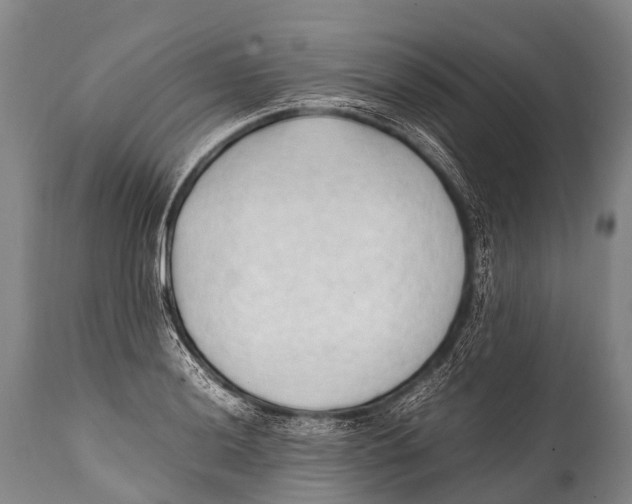 X0000111951036200908241159