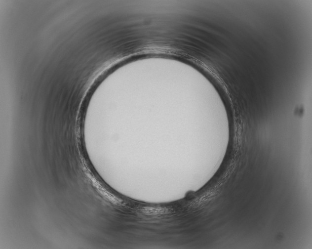 X0000111951037200908241159