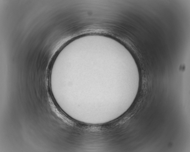 X0000111951038200908241159