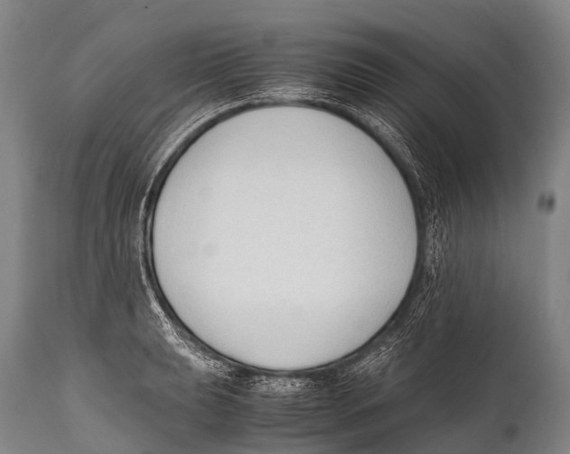X0000111951039200908241159