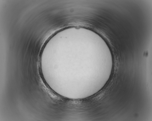 X0000111951040200908241159