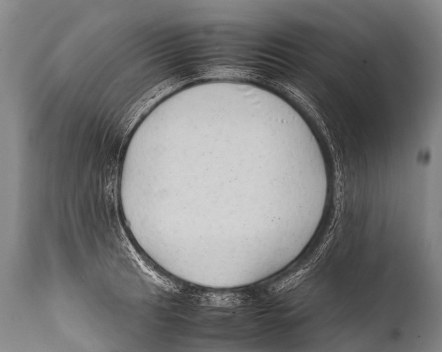 X0000111951041200908241159