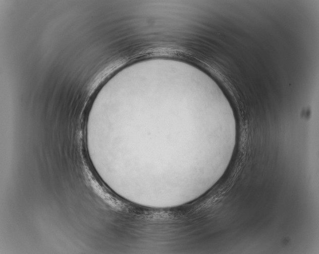 X0000111951042200908241159