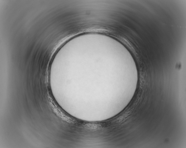 X0000111951044200908241159