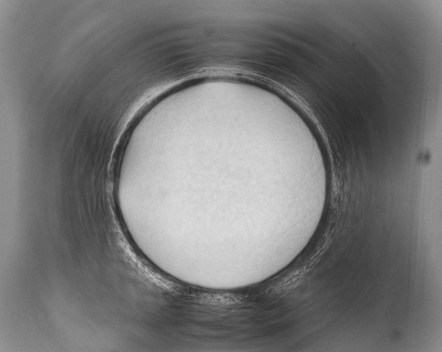 X0000111951045200908241159