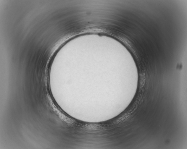 X0000111951046200908241159