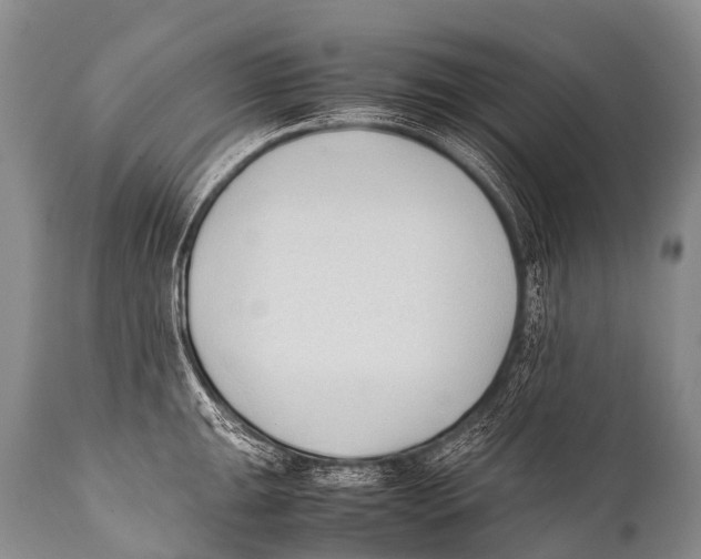X0000111951047200908241159