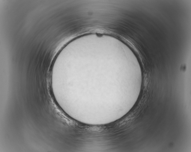 X0000111951048200908241159