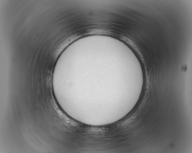 X0000111951049200908241159