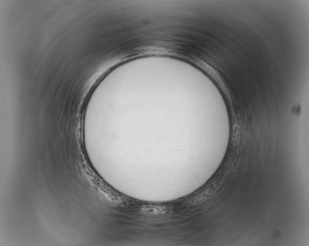 X0000111951051200908241200
