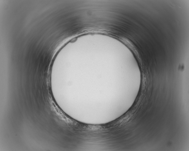 X0000111951052200908241200