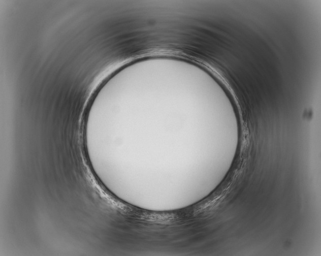 X0000111951053200908241200