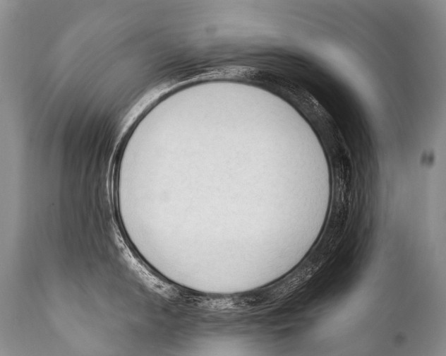 X0000111951054200908241200