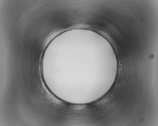 X0000111951055200908241200