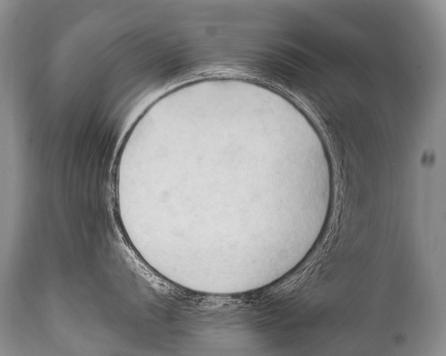 X0000111951056200908241200
