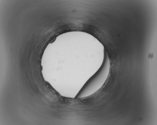 X0000111951057200908241159