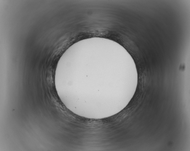 X0000111951058200908241159