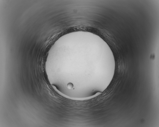 X0000111951060200908241159