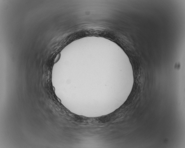 X0000111951061200908241159