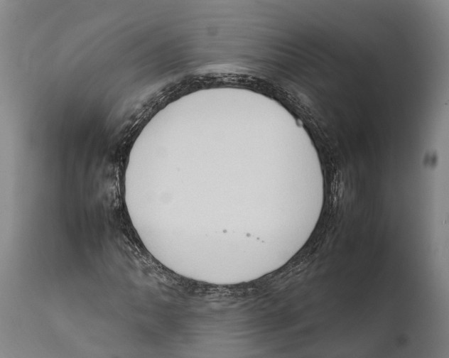 X0000111951062200908241159