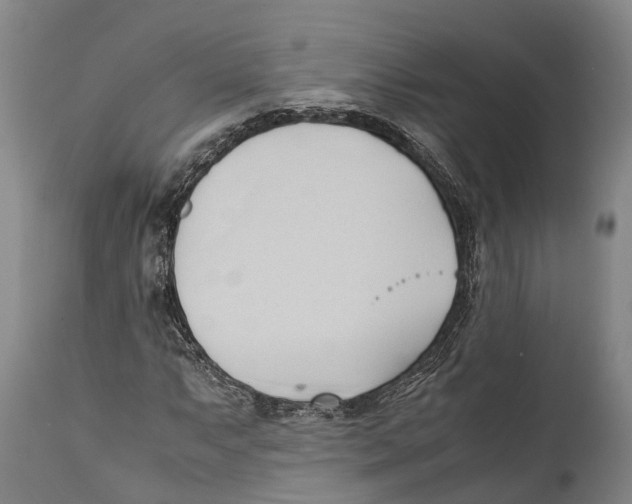 X0000111951063200908241159