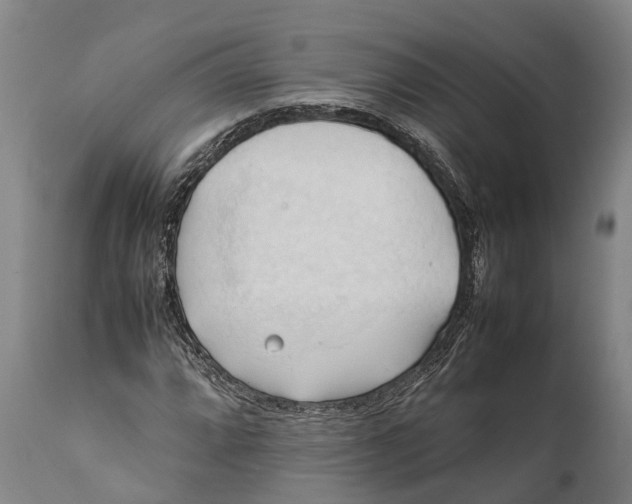 X0000111951064200908241158