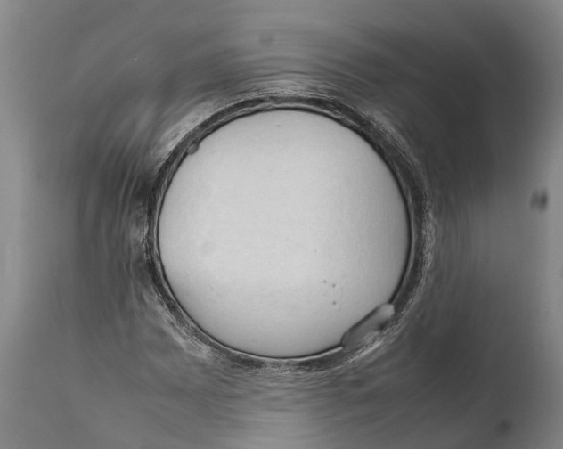 X0000111951065200908241158