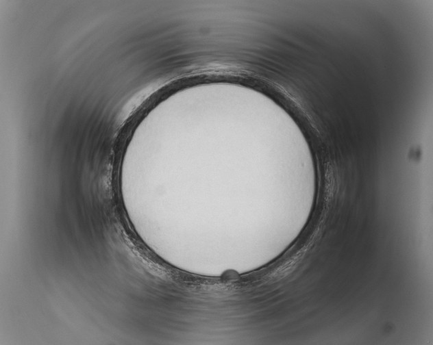 X0000111951066200908241158