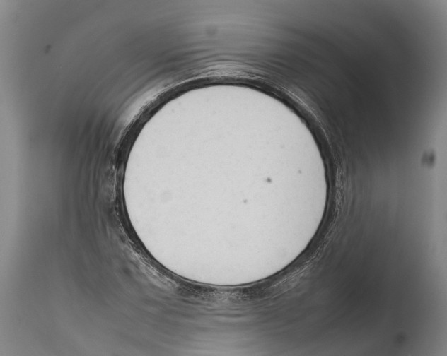 X0000111951067200908241158