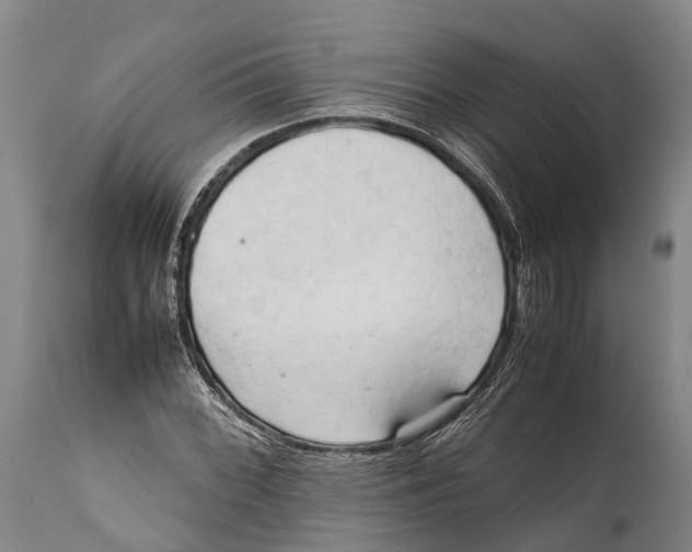 X0000111951068200908241158