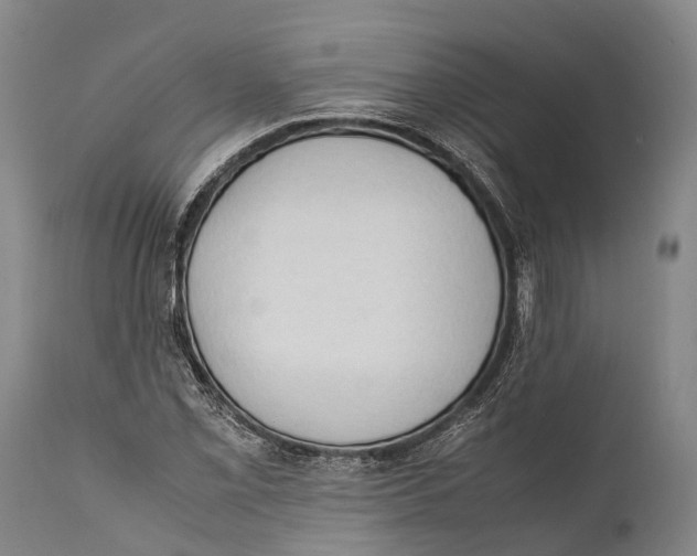 X0000111951069200908241158