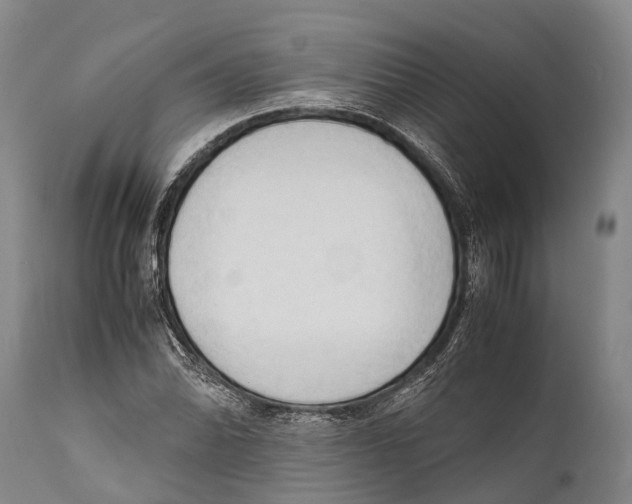 X0000111951070200908241158