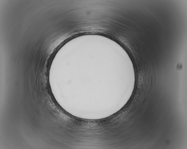 X0000111951071200908241158