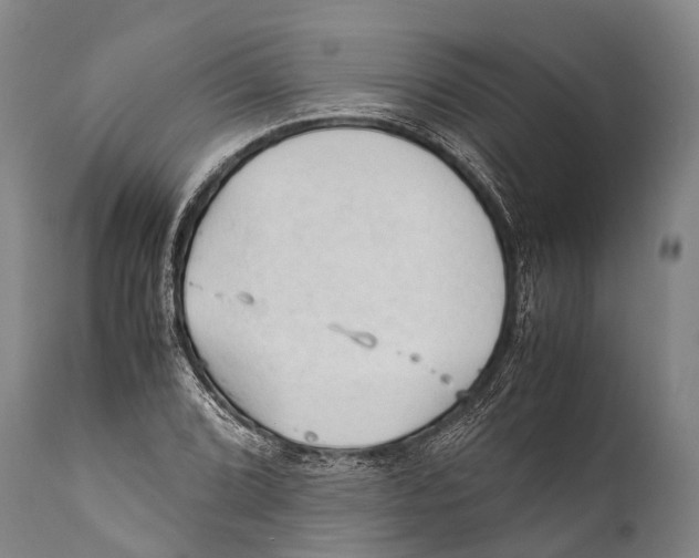 X0000111951072200908241158