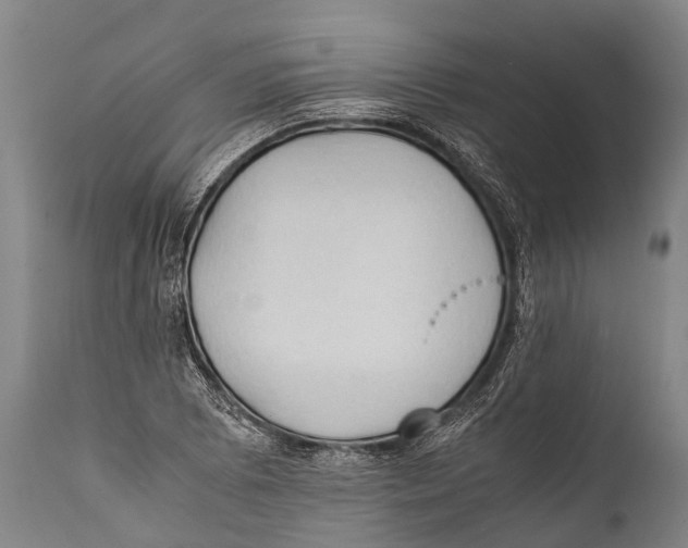 X0000111951073200908241158