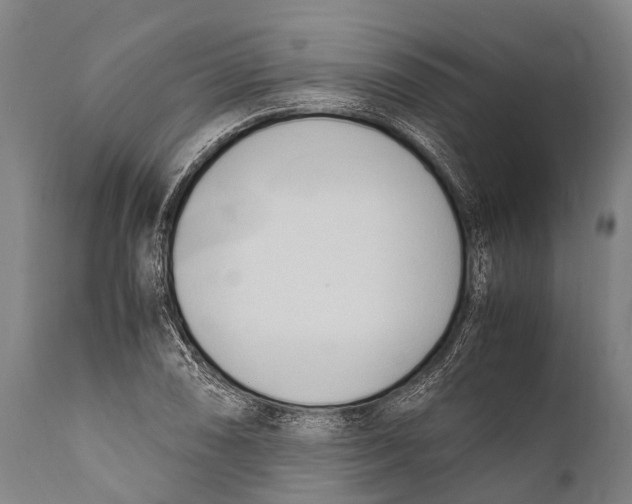 X0000111951074200908241158