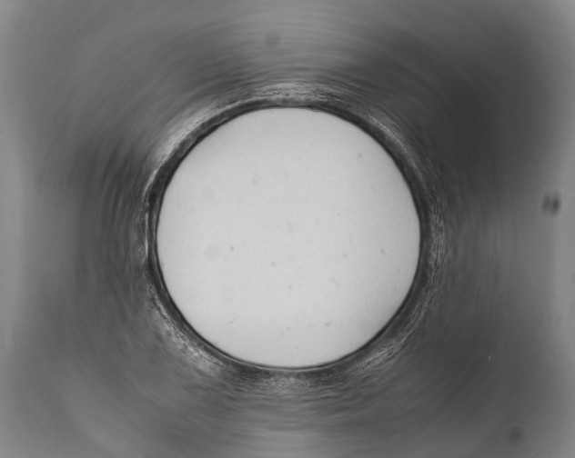 X0000111951075200908241158