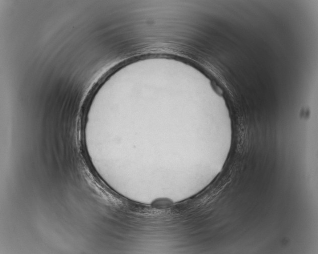 X0000111951076200908241158