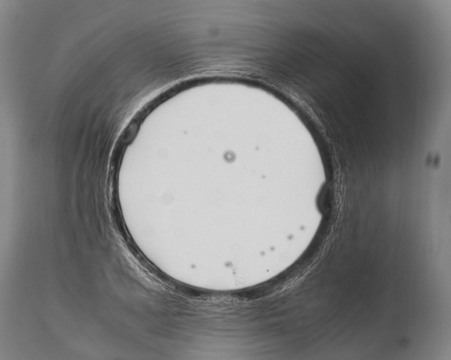X0000111951077200908241158
