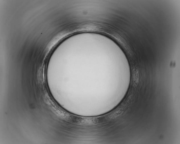 X0000111951078200908241158