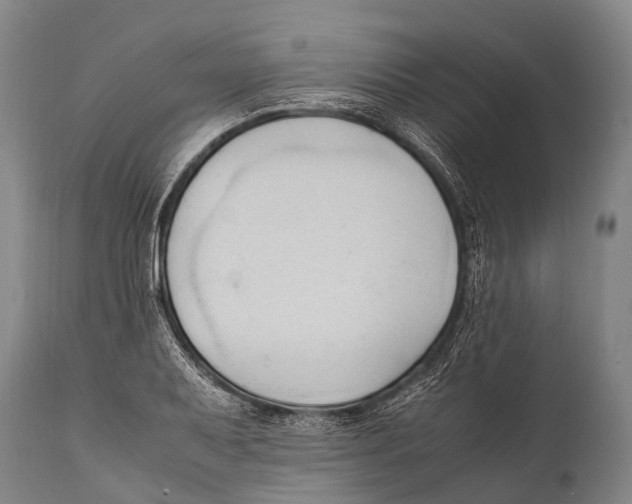 X0000111951079200908241158