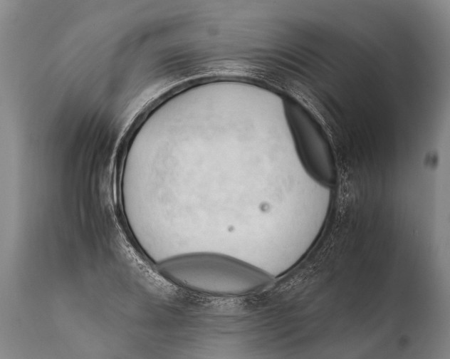 X0000111951080200908241158