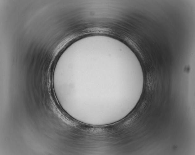 X0000111951082200908241158