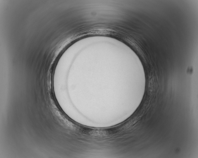 X0000111951083200908241158