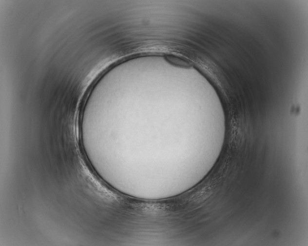 X0000111951084200908241158