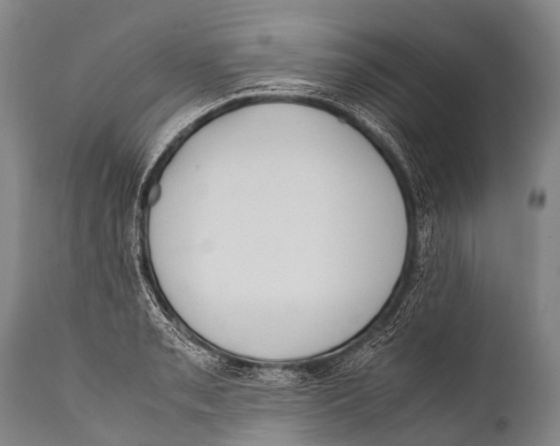 X0000111951085200908241158