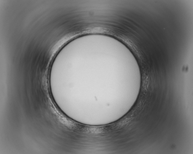 X0000111951086200908241158