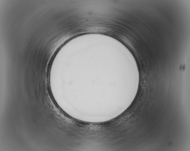 X0000111951087200908241158