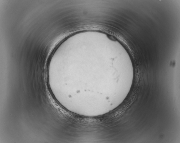 X0000111951088200908241158